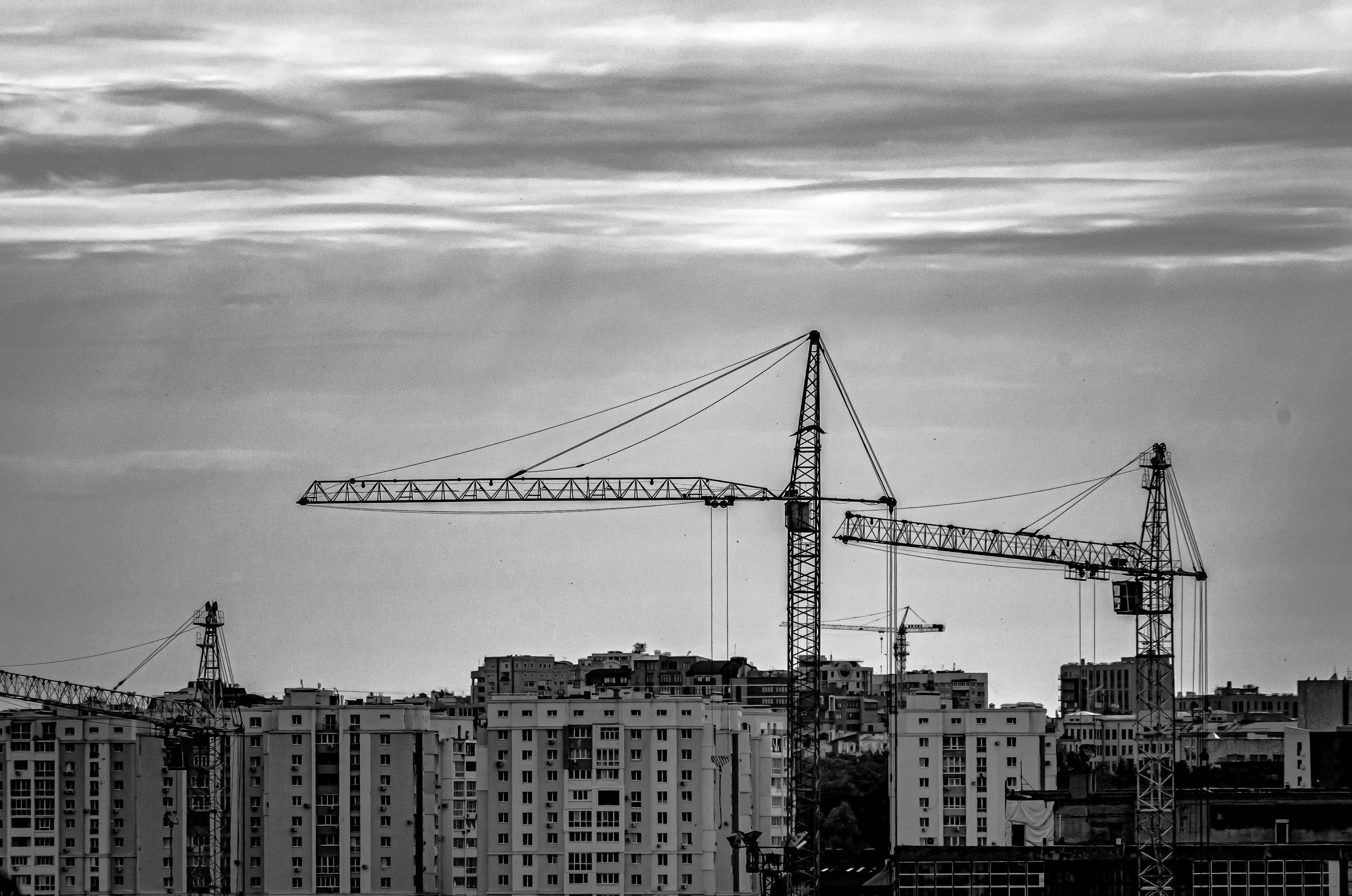 Tower cranes above a city skyline