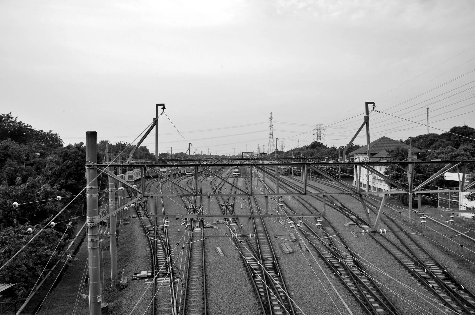 Railway tracks dividing at a junction